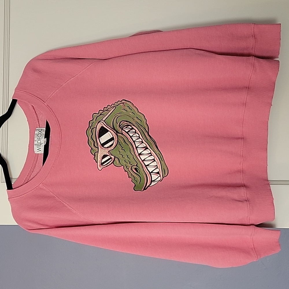 Wildfox Sweatshirt 🩷